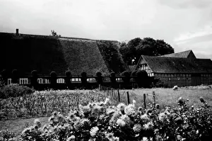Hedges: Oldenburg, 1938