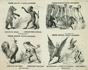 Menagerie: Older's museum, circus & menagerie