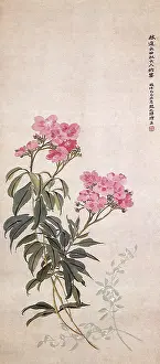 Zhao: Oleander