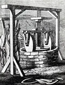 Pressing: An Olive mill