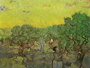 Picker: Olive Grove with Picking Figures, by Van Gogh