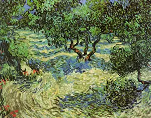 Olives: Olive Grove, by Van Gogh