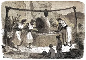 Olive Oil mill