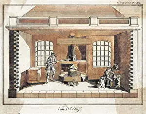 Olive Oil Press