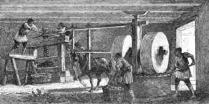 Olive Oil processing in Greece