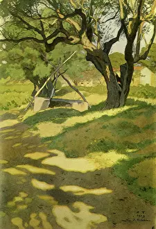 Bilibin: Olive Trees