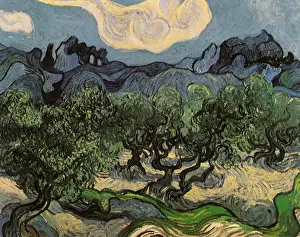 Alpilles: Olive Trees with the Alpilles in the Background, by Van Gogh