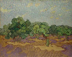 Painterly: Olive Trees, by Vincent Van Gogh, 1889, Dutch Post-Impressio