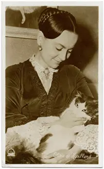 Plait: Olivia De Havilland