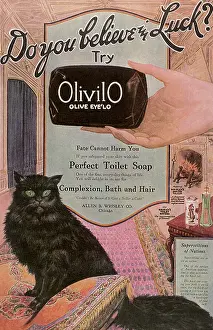 Picturpic: Olivilo Soap Advertisement with Black Cat