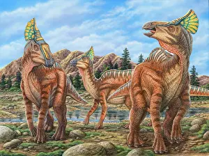 Lambeosaurinae: Olorotitan dinosaurs walking by a stream