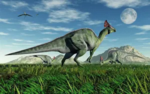 Lambeosaurine: Olorotitan duckbill dinosaurs grazing