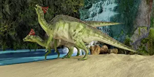 Lambeosaurinae: The Olorotitan, a duckbilled dinosaur from the Late ?