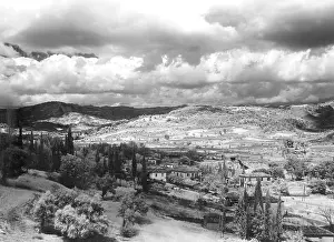 Victors: Olympia, 1936