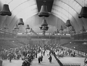 Kennel: Olympia - L.K.A. Dog Show
