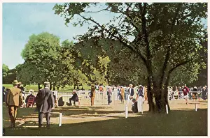 Metre: OLYMPICS/PARIS 1900 BOIS