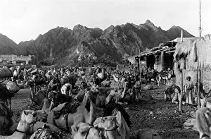 Resound: OMAN/MATTRAH