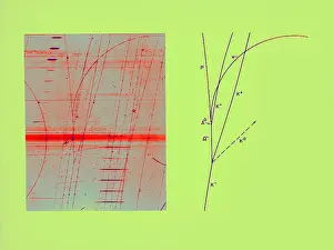 Alternating: Omega Particle, 3rd Observation