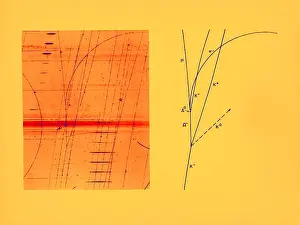 Detector: Omega Particle, 3rd Observation