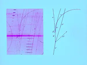 Detector: Omega Particle, 3rd Observation