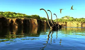 Pterosaur: Omeisaurus dinosaurs wade through a river to munch