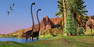 Pteranodon: Two Omeisaurus dinosaurs wade through shallow water