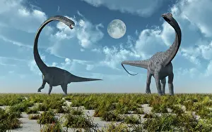 Triassic: An Omeisaurus and Diplodocus dinosaur