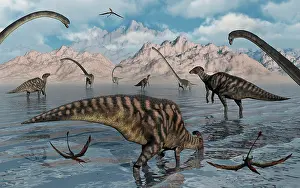 Omeisaurus: Omeisaurus and Parasaurolphus dinosaurs gather together