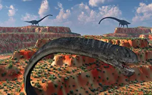 Close Up: Omeisaurus sauropod dinosaurs from the Jurassic Era