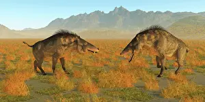 Threat: Two omnivorous Entelodon pigs face each other