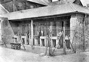 Accomodation: Ongar Workhouse Stone-breaking