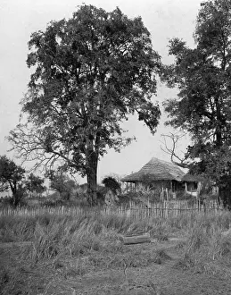 Owambo: Ongina in Ovamboland, 1903