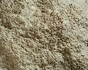 Carbonate: Oolitic limestone