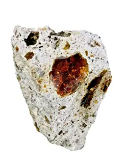 Matrix: Opal