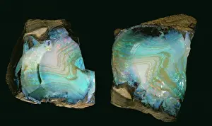 Hydrated: Opal