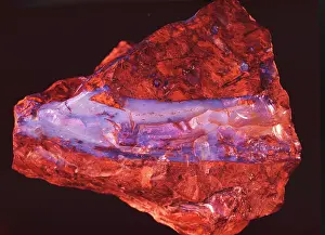Glassy: Opal