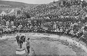 Ampitheatre: An open-air circus, recreation in Salonika, WW1