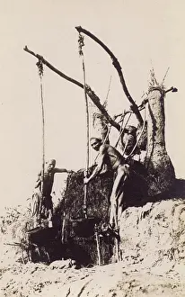 Pivot: Operating a Shadoof Irrigation System, Egypt