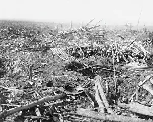 Ancre: Operation Ancre 1917