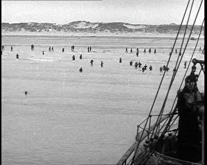 Wade: Operation Dynamo