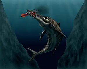 Ichthyosaur: An Ophthalmosaurus catches a squid in the deep sea