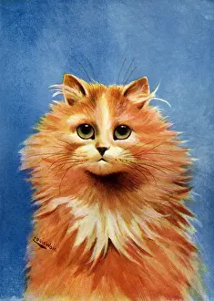 Sorrowful: Orange Cat