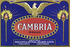 Sticker: Orange fruit advert