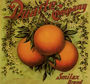 Leafy: Orange Fruit Label