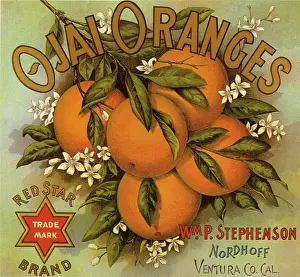 Nestle: Orange Fruit Label