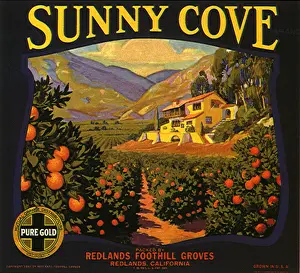 Nestled: Orange Grove