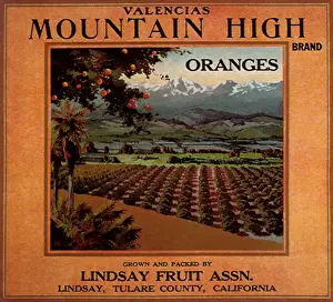 Stretches: Orange Groves