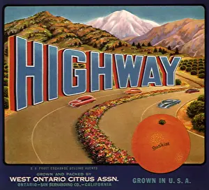 Orchards: Orange Highway
