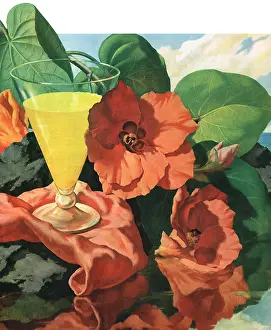 Juice: Orange Juice