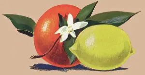 Lemon: Orange and Lemon